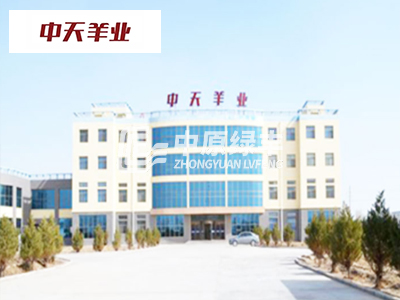 民勤中天羊業屠宰場廢水處理案例
