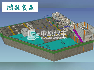 山東鴻冠食品有限公司2000m3/d 生產廢水處理